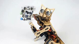 Nible, the world's first open source robot cat