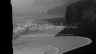 Beautifull Quran Qirat