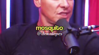 Reflexao