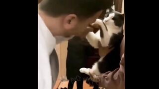 Funny animal videos 2022, funny cats ????/