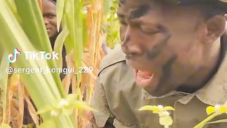 Sergent komgui