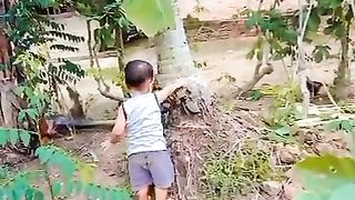 playing in the yard