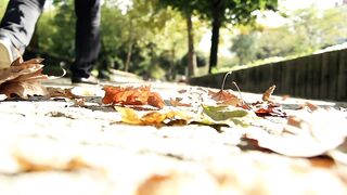 People walking in the park