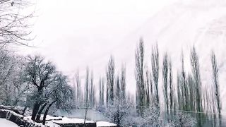 Snowfall