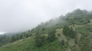 Hill covered