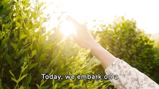 The Science of Gratitude and Its Impact on Mental Health