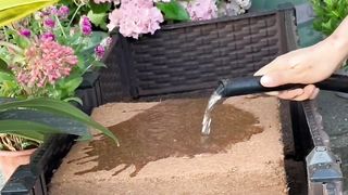 modern planting media