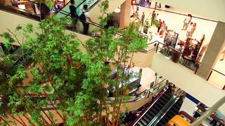 Busy mall escalator timelapse