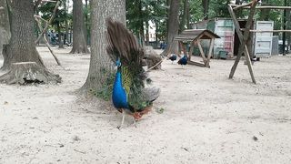 #nutare