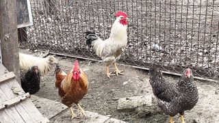 #nutare