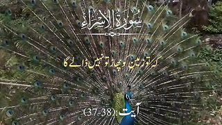 Quran pak