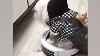 Funny anumals