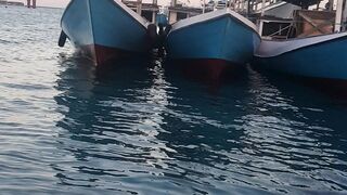 nice ship