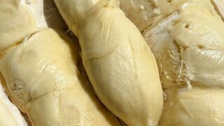 Durian kocok alpukat aligator #duriankocok #alpukataligator