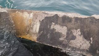 Beutiful sea