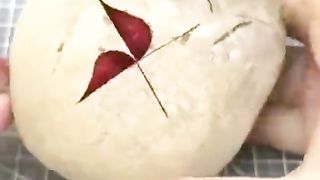_funny video