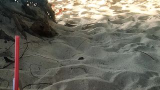 beach world