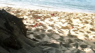 the beauty of the world's beaches