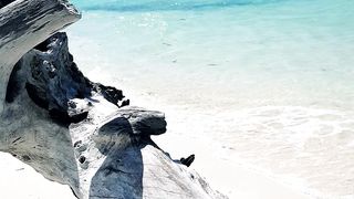 the beauty of the world's beaches
