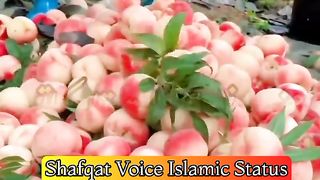 Imam Hassan aur Imam Hussain
