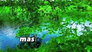 Alam pemandangan