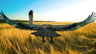 The view of a woman walking on yellow grass and being approached by an eagle