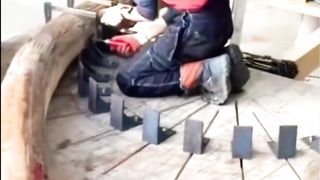 Challenges of Bending Steel and Timber_ A Quick Guide!. Upload