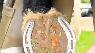 _viralvideo