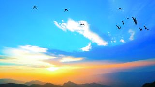 Beautiful sunset