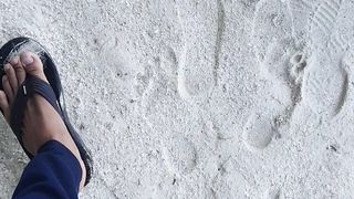 shark breeding, world beaches