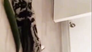 Amazing video