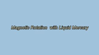 Rotation of magnets with liquid mercury