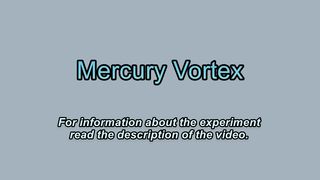 Liquid Mercury vortex in a magnetic field