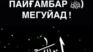 Гамгин машавед