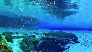 Berenang di laut