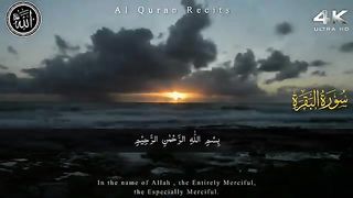 Surah Al-Baqarah Full __ By Rijdaal Ahmad (HD) With Arabic _ سورة البقره(360P).