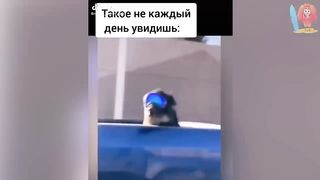 19 МИНУТ СМЕХА