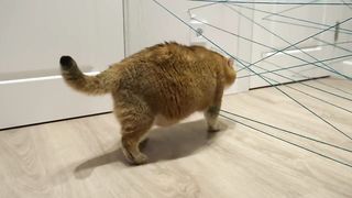 Mission_ Impossible