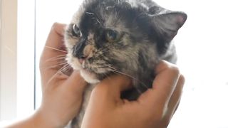 Cute ????????