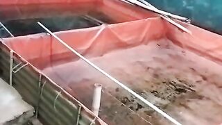 Mau kolam TERPAL mau kolam TANAH tetap ikan lele DISORTIR