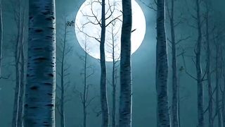 Beauty of The Moon