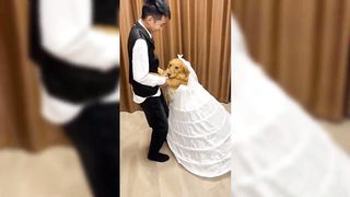 Best Funny Animal Videos 2024 Part 5