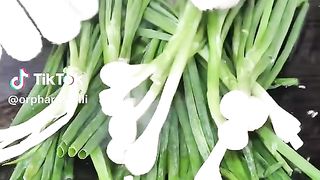 Scallion pancakes
