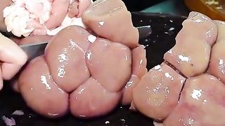 Oval soup