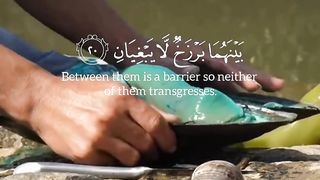 قرأن كريم حالات واتس