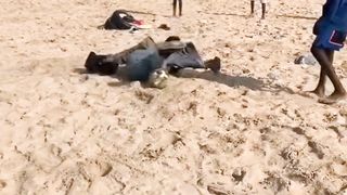 Funny videos / most funny moments