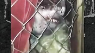 horror place