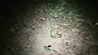 Horror video