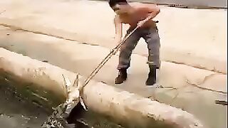 How to catch crocodile?