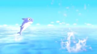 The shark family